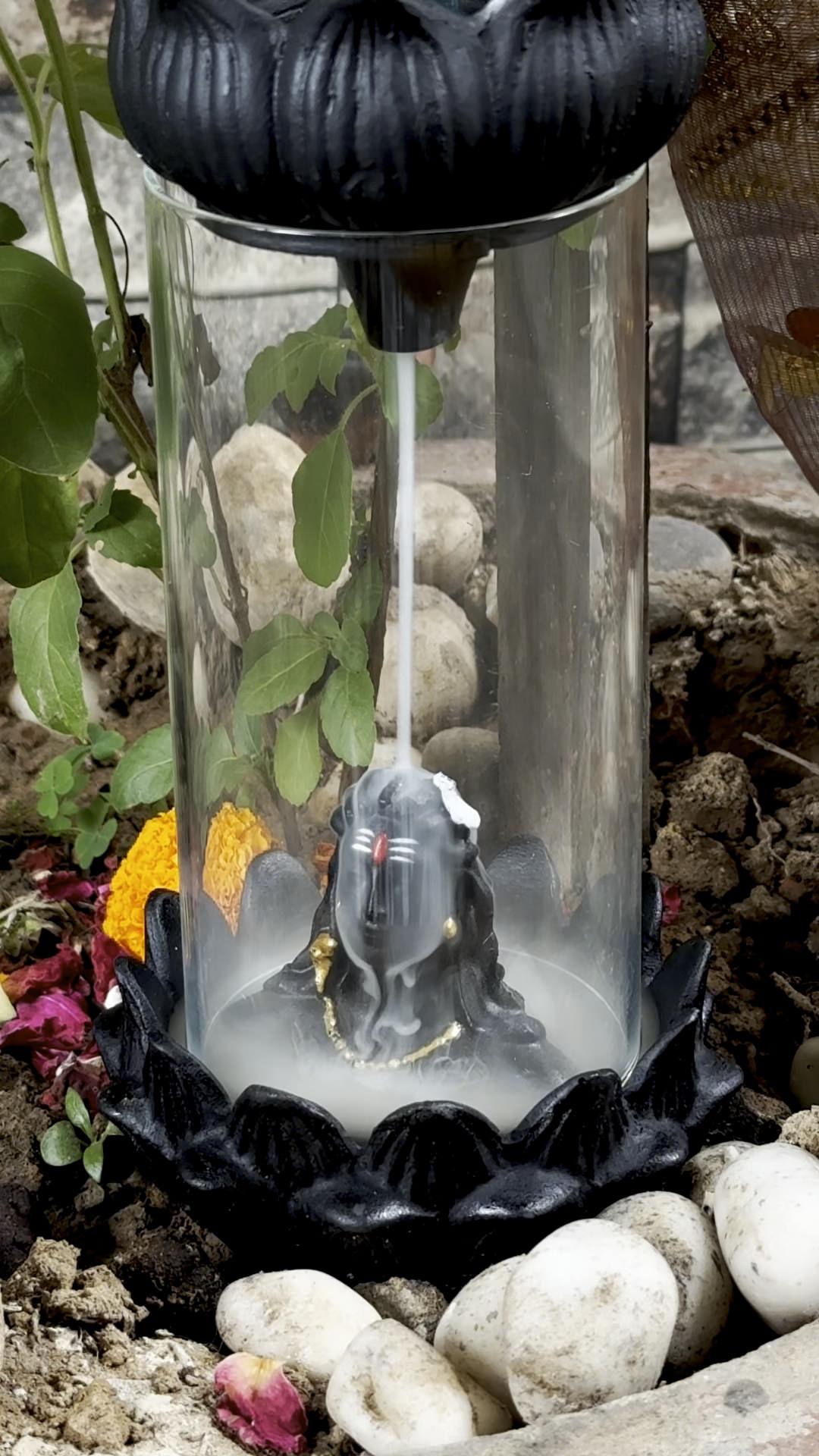 Divine Adiyogi Lord Shiva Backflow Incense Burner with Glass Enclosure & Lotus Base + FREE 40 Backflow Cones